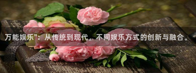 彩客网官网入口：万能娱乐\
