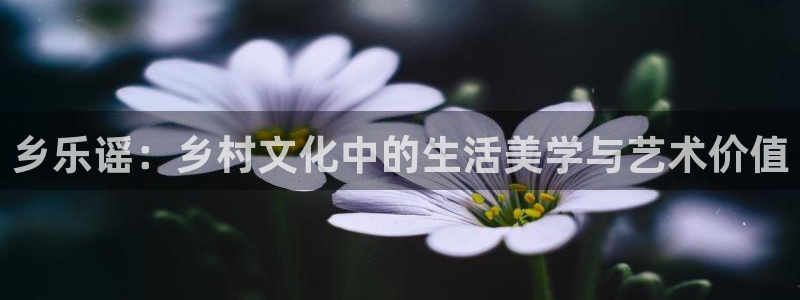 彩客网旧版官网入口：乡乐谣：乡村文化中的生活美学与艺术价值