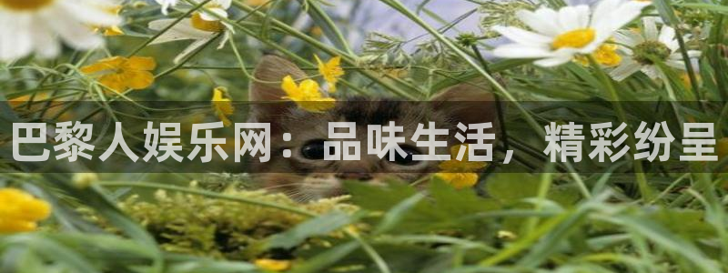 彩客网比分完整比分直播：巴黎人娱乐网：品味生活，精彩纷呈