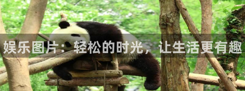 彩客网手机触屏版：娱乐图片：轻松的时光，让生活更有趣