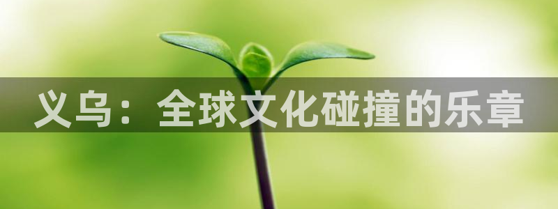 彩客网首页(老版)：义乌：全球文化碰撞的乐章