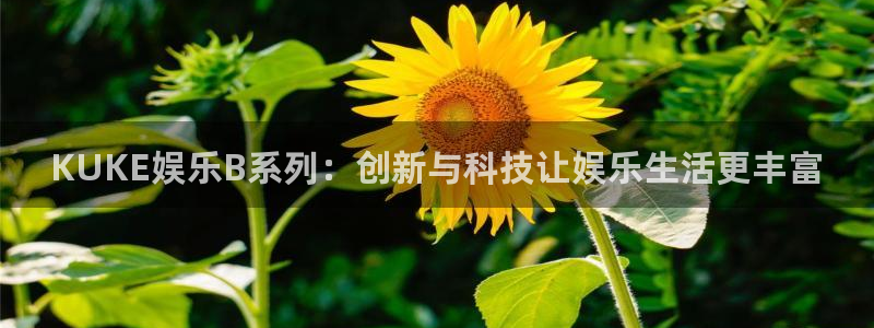 彩客网正版官方app：KUKE娱乐B系列：创新与科技让娱乐生活更丰富