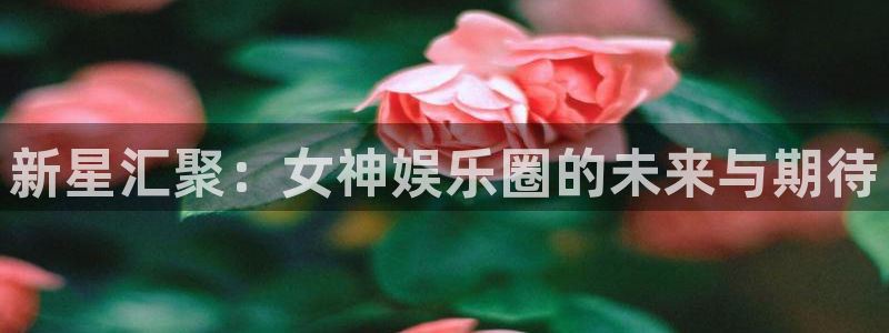 彩客网app手机版下载：新星汇聚：女神娱乐圈的未来与期待