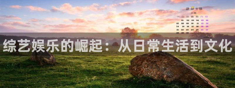 彩客网官网电脑版：综艺娱乐的崛起：从日常生活到文化