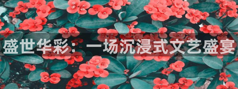 彩客网310官网：盛世华彩：一场沉浸式文艺盛宴