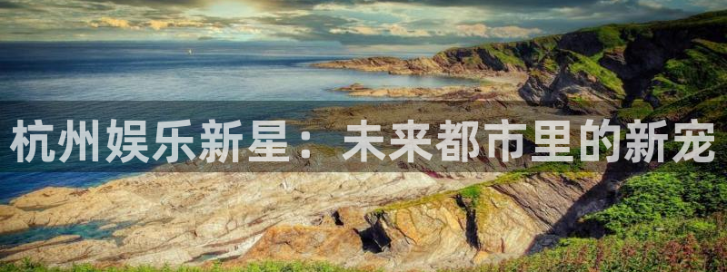 老版彩客网：杭州娱乐新星：未来都市里的新宠