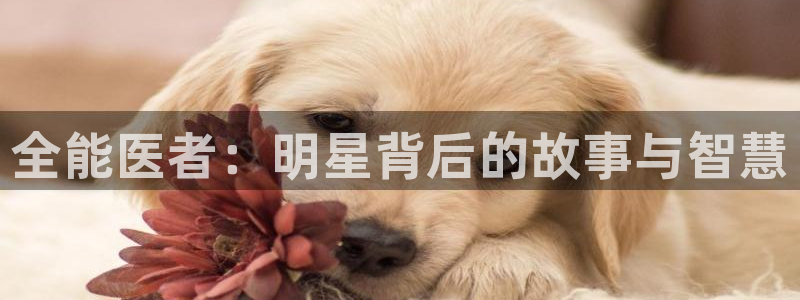 彩客网主页：全能医者：明星背后的故事与智慧