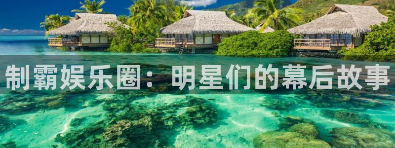 中国竞彩网官方入口彩客网：制霸娱乐圈：明星们的幕后故事