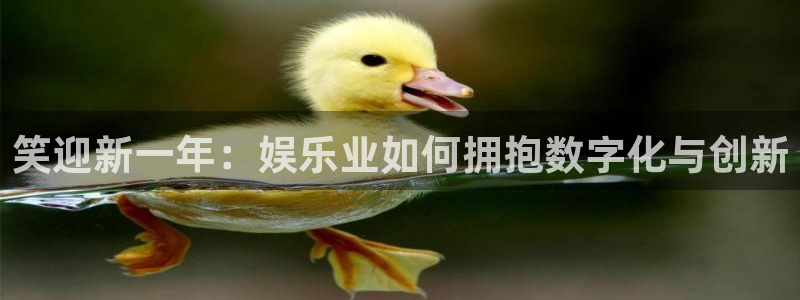 球探彩客网：笑迎新一年：娱乐业如何拥抱数字化与创新