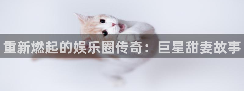 彩客网竞彩让球胜平负一竞彩数据：重新燃起的娱乐圈传奇：巨星甜妻故事