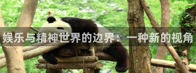 彩客网电脑版首页：娱乐与精神世界的边界：一种新的视角