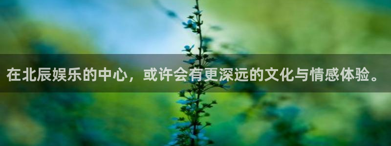 彩客网旧版手机版官网：在北辰娱乐的中心，或许会有更深远的文化与情感体验。