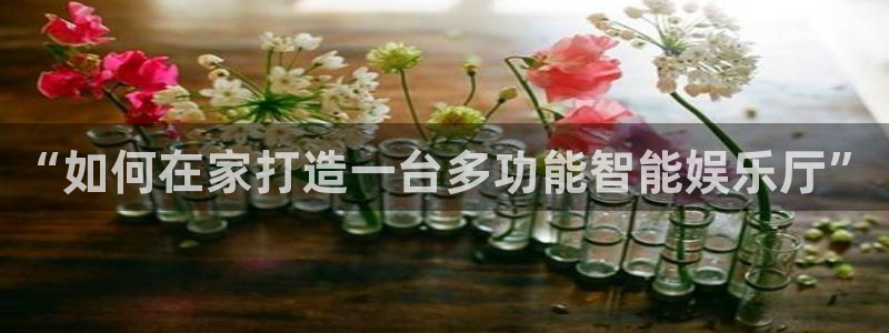 彩客网手机触屏版