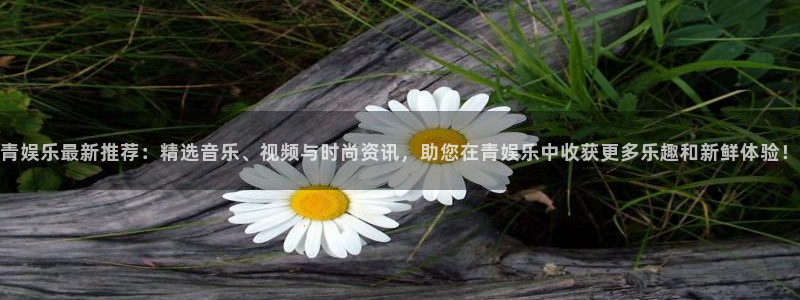 彩客网足球完整比分：青娱乐最新推荐：精选音乐、视频与时尚资讯，助您在青娱乐中收获更多乐趣和新鲜体验！