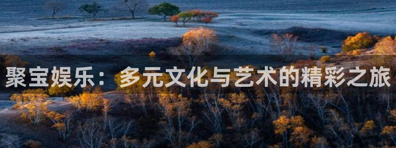 彩客网旧版手机版：聚宝娱乐：多元文化与艺术的精彩之旅