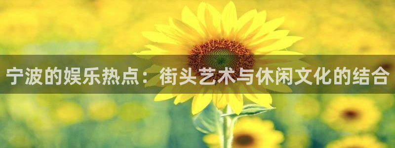 彩客网app官网下载官网版：宁波的娱乐热点：街头艺术与休闲文化的结合