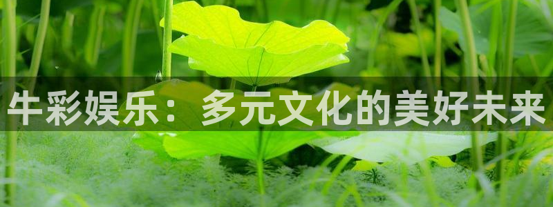 彩客网官网电脑版：牛彩娱乐：多元文化的美好未来