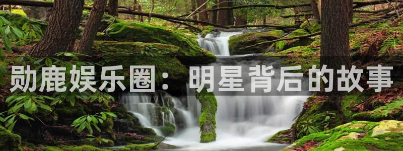 彩客网即时比分完整比分手机版：勋鹿娱乐圈：明星背后的故事