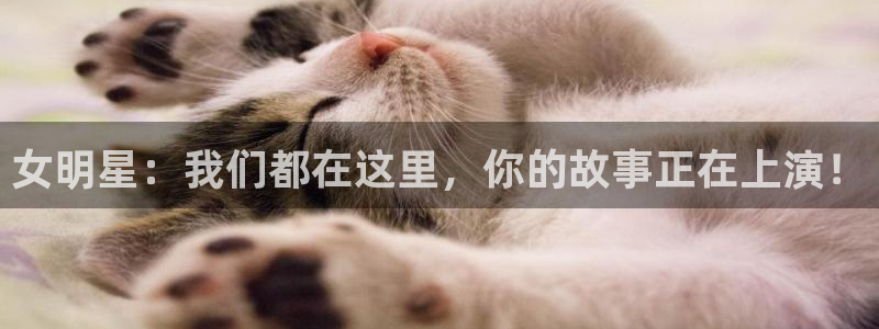 彩客网足球比分完整版：女明星：我们都在这里，你的故事正在上演！