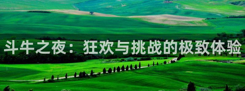彩客网app最新版：斗牛之夜：狂欢与挑战的极致体验