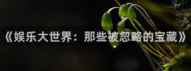 中国彩客网：《娱乐大世界：那些被忽略的宝藏》