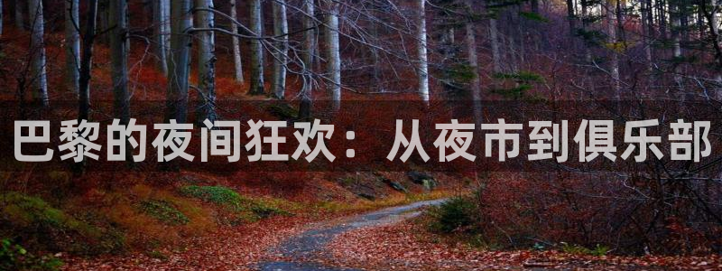 彩客网现场比分直播：巴黎的夜间狂欢：从夜市到俱乐部